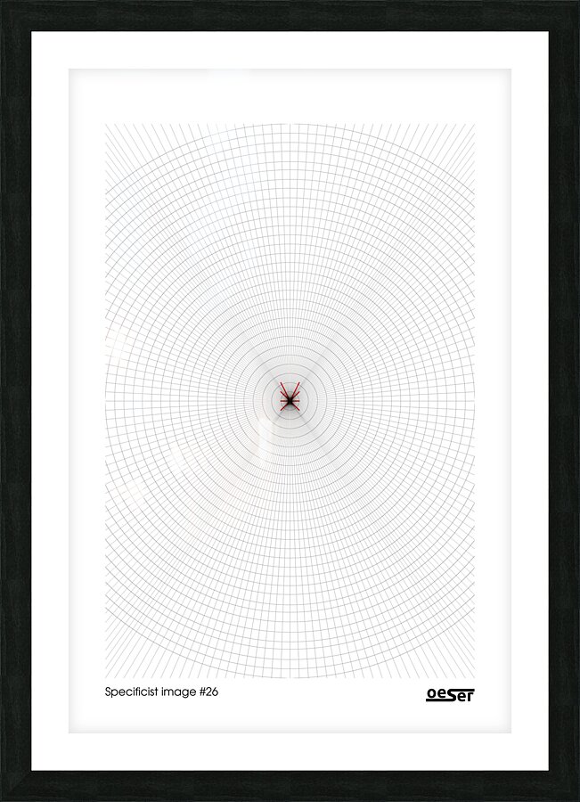 Specificist image  26 Picture Frame print