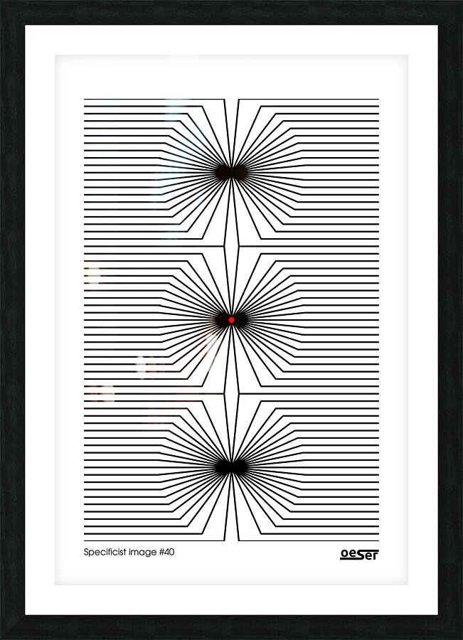 Specificist image  40 Picture Frame print