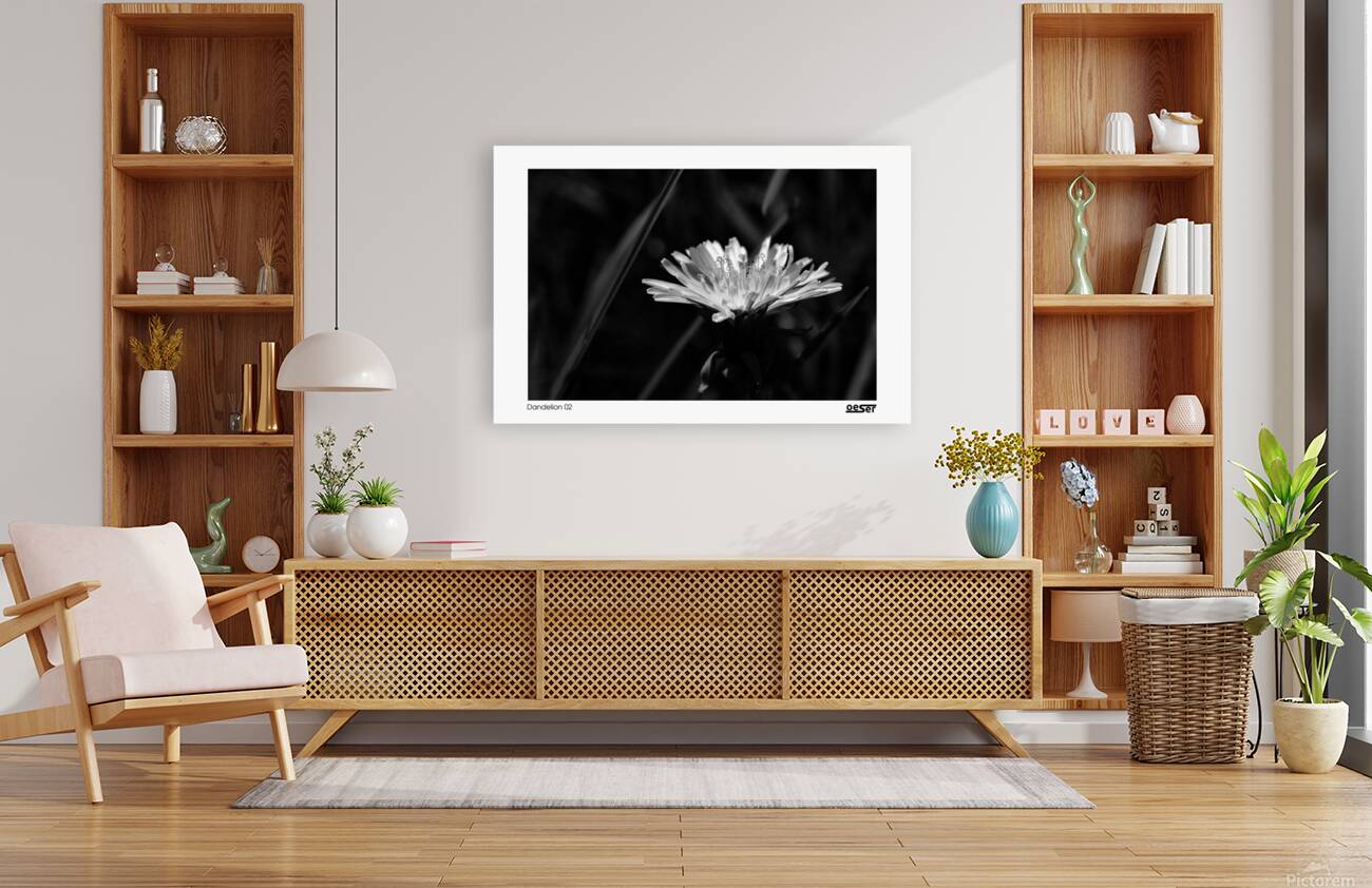 Dandelion 02 Reproduction