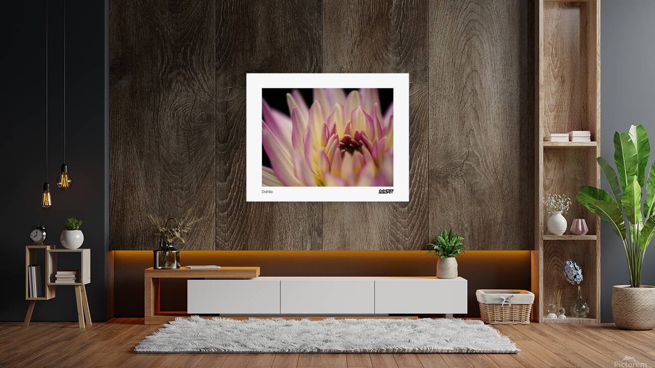 Dahlia Reproduction
