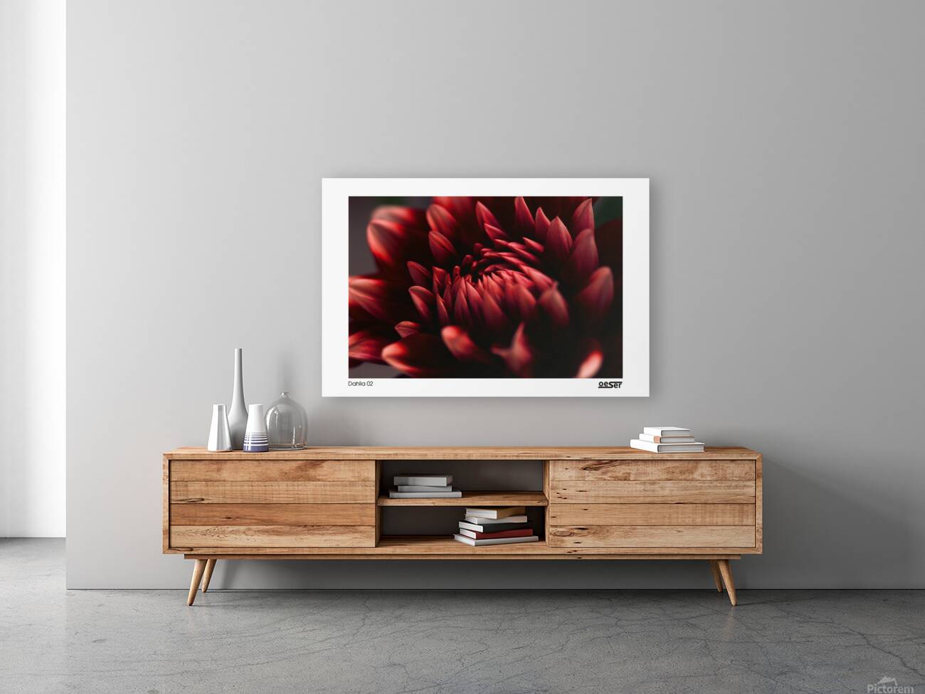 Dahlia 02 Reproduction