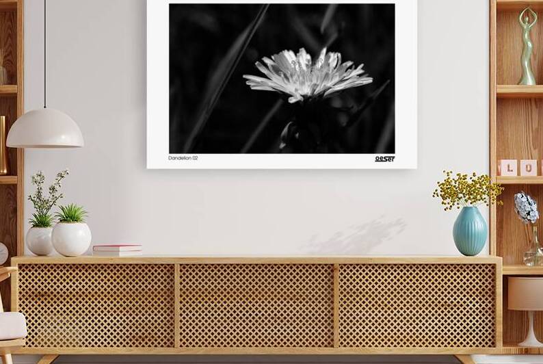 Dandelion 02 by george oeser fine art fotografie