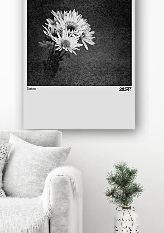 Daisies Reproduction