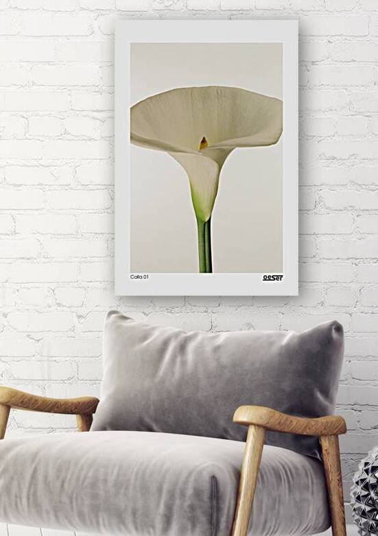 Calla 01 by george oeser fine art fotografie