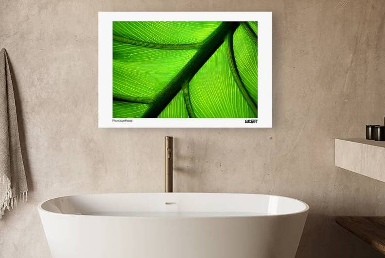 Photosynthesis by george oeser fine art fotografie