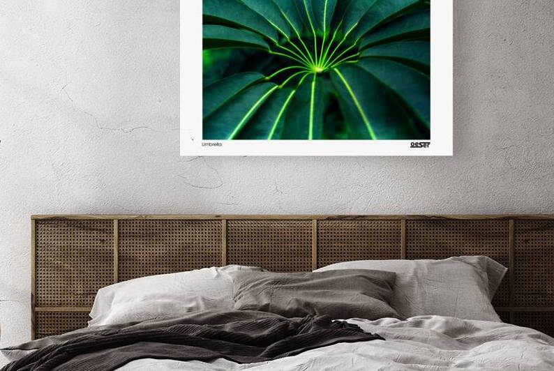 Umbrella by george oeser fine art fotografie
