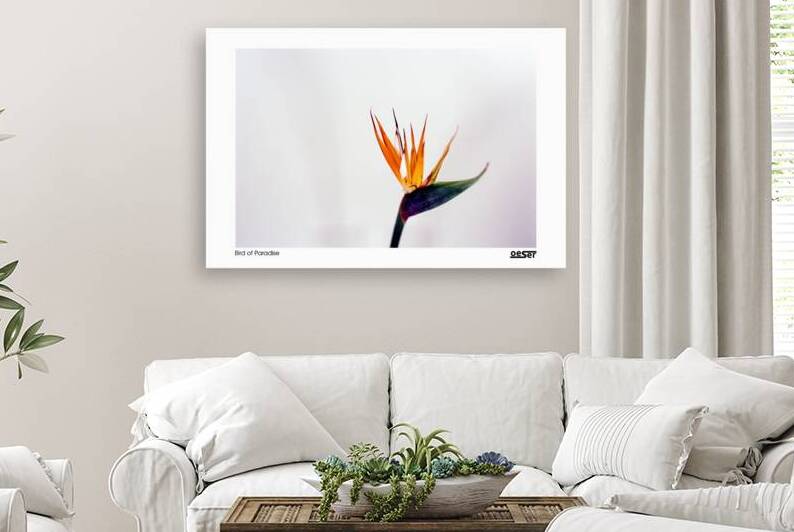 Bird of Paradise by george oeser fine art fotografie