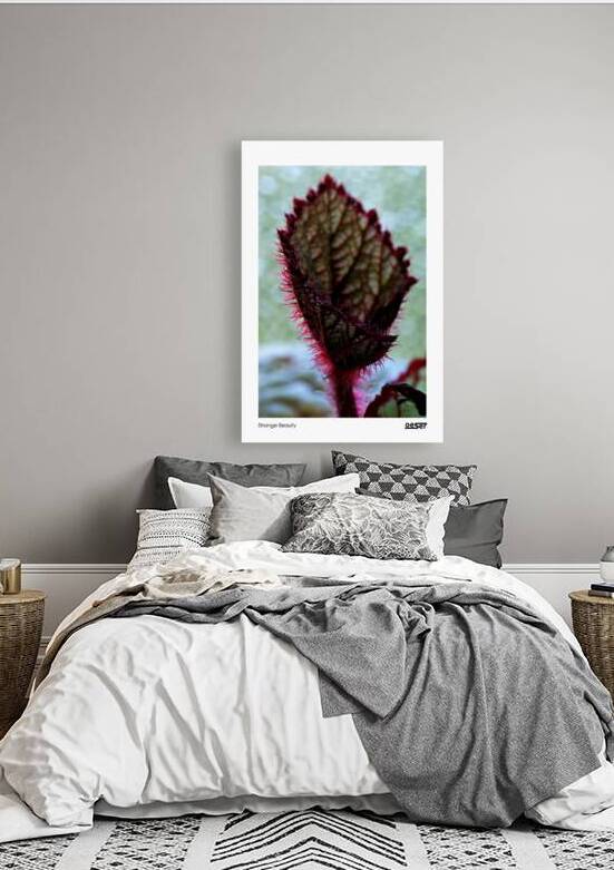 Strange Beauty by george oeser fine art fotografie