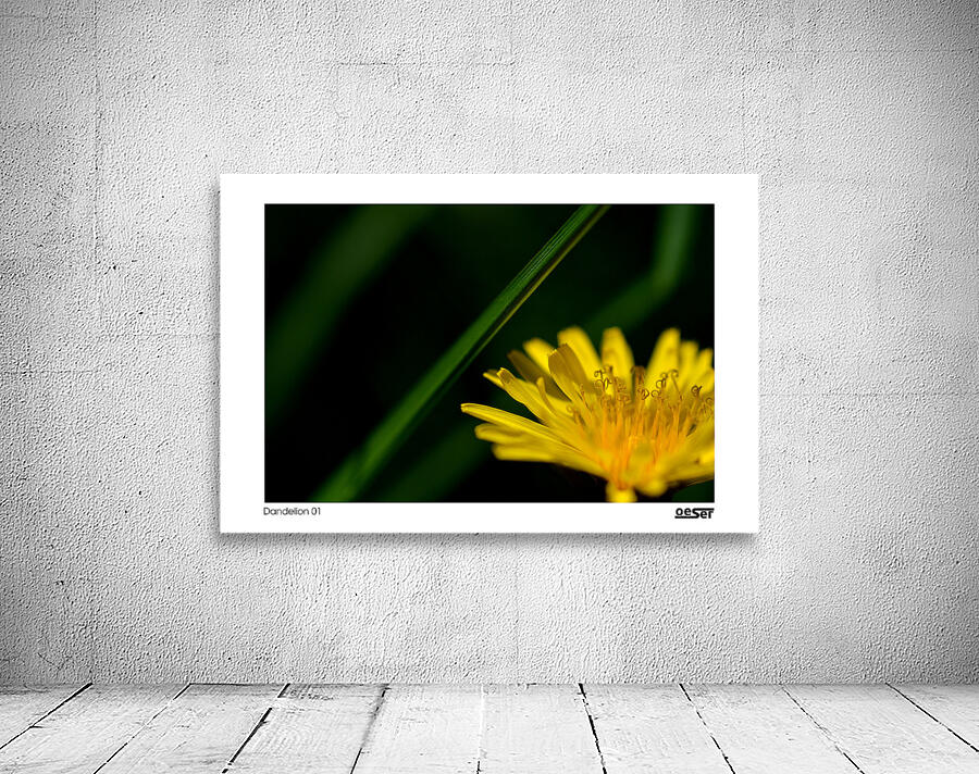 Dandelion 01 Wall Preview