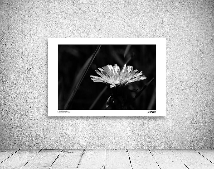 Dandelion 02 Wall Preview