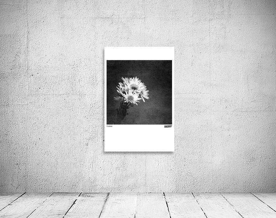 Daisies Wall Preview