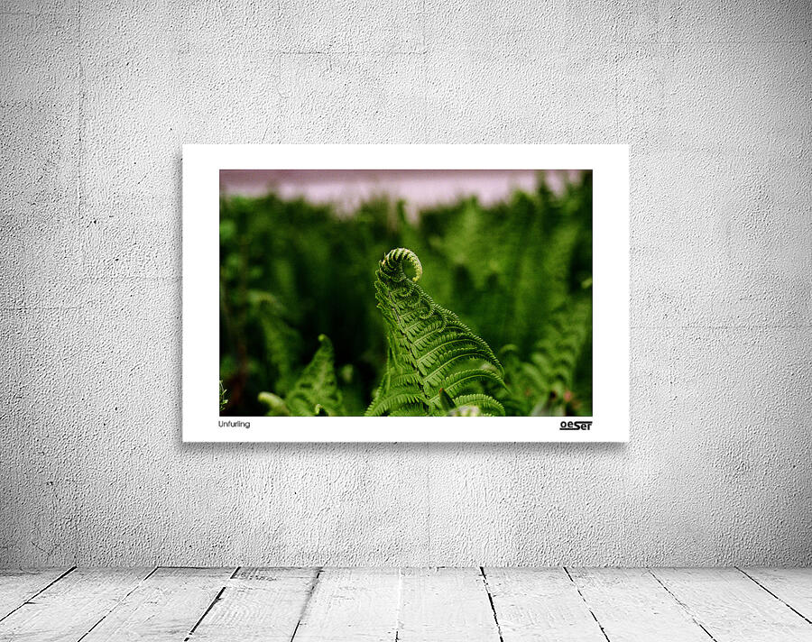 Unfurling Wall Preview