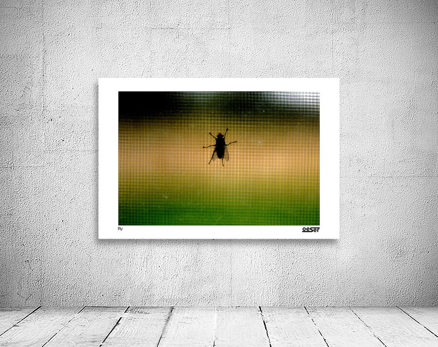 Fly Wall Preview