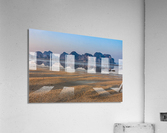 Reflections Acrylic Print