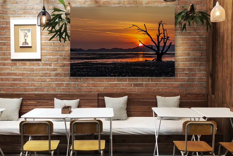 Mangrove tree at sunrise Phang Nga Bay Phuket Thailand by Kevin Hellon