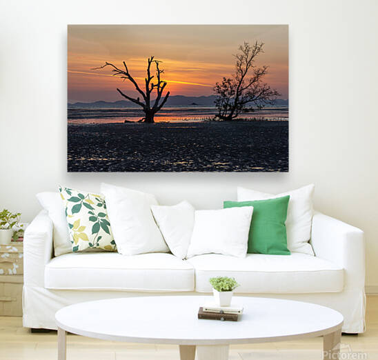 Mangrove trees at dawn Phang Nga Bay Phuket Thailand by Kevin Hellon