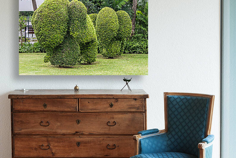 Topiary elephants Hua Hin  Thailand by Kevin Hellon