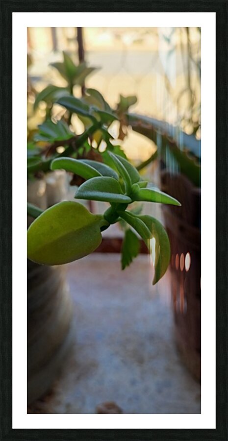 green nature Picture Frame print