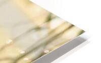 green nature HD Metal print