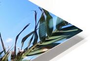 Beautiful view HD Metal print