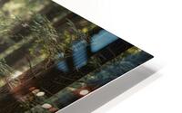 1768076015000 HD Metal print