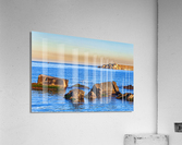 20210204IMG 0507 Acrylic Print
