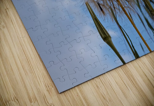 20210407IMG 8404 Lapissable puzzle