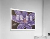 Purple Flower Acrylic Print