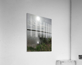 Reflections Acrylic Print