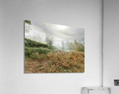 Island View3 Acrylic Print