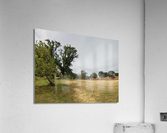 Island View4 Acrylic Print