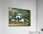 Island View5 Acrylic Print