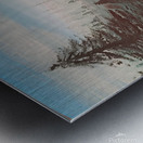 Misty Forest Original Metal print