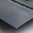 Reflections2 Metal print