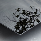 Delta View2 Metal print