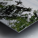 Island Window Metal print
