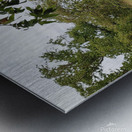 Delta Picnic Metal print