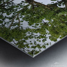 Island View5 Metal print
