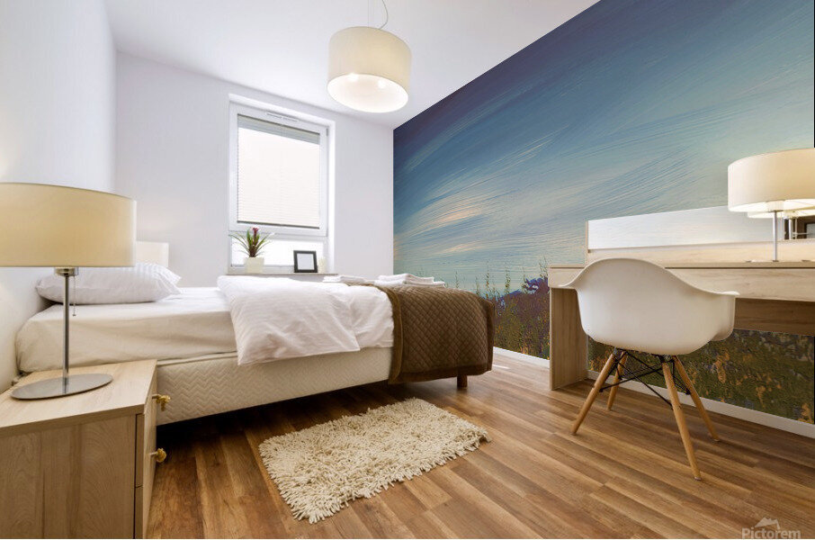Big Blue Sky Mural print