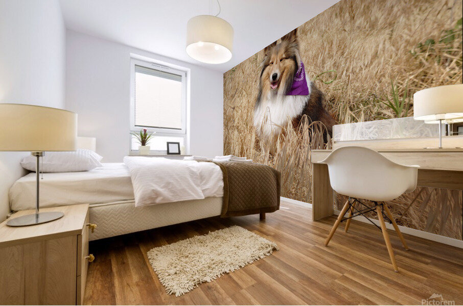 Sheltie Smiles Mural print