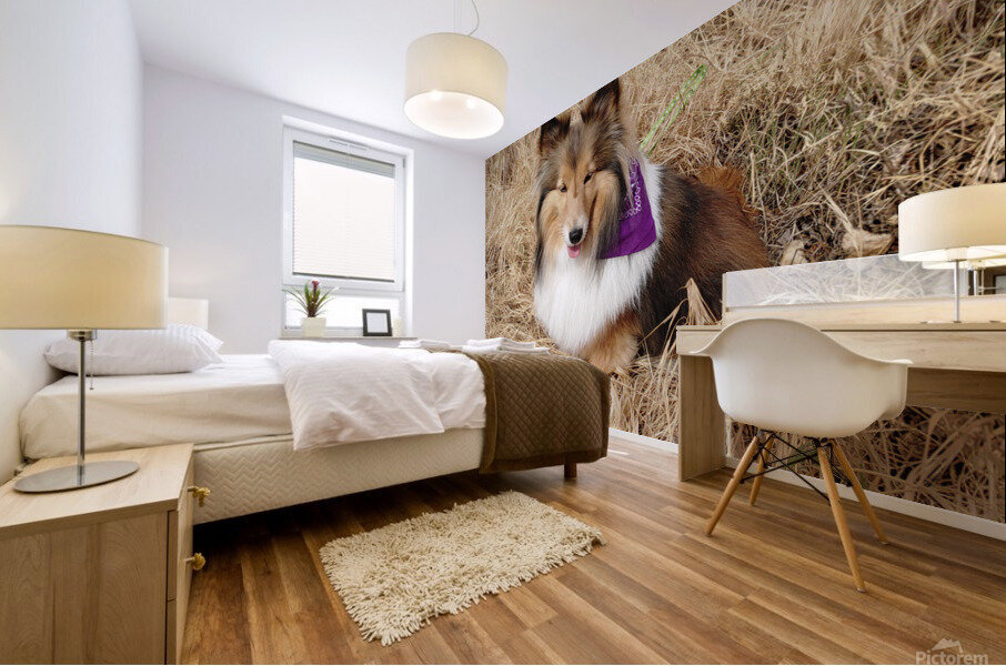 Sheltie Sass Mural print