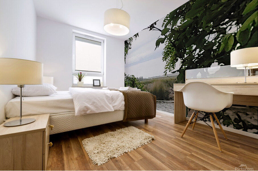 Island Window Mural print