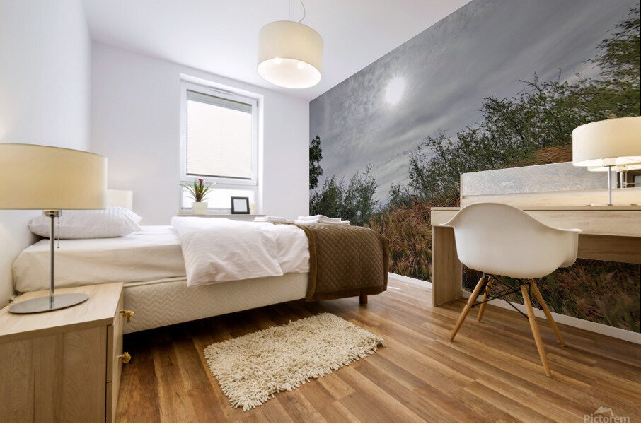 Island View2 Mural print