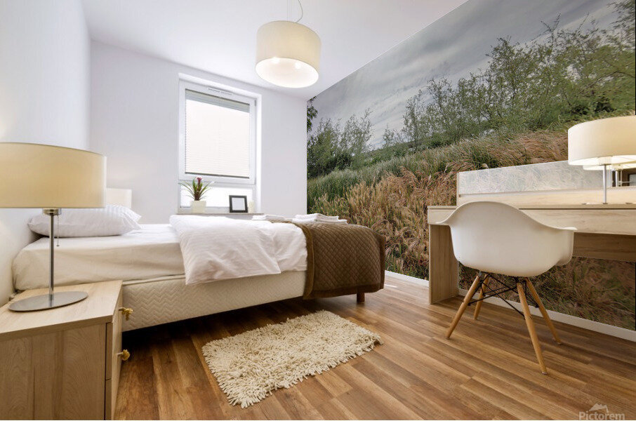 Island View3 Mural print