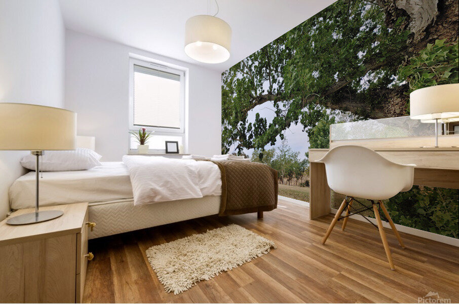 Island View5 Mural print