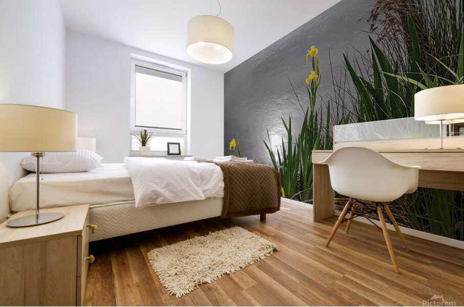 Yellow Iris Mural print