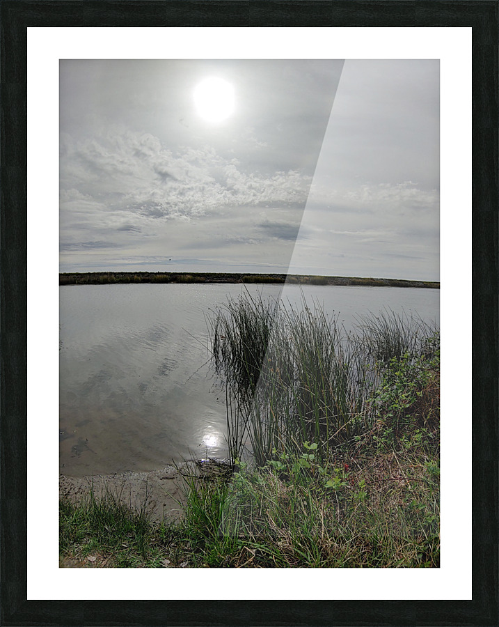 Reflections Picture Frame print