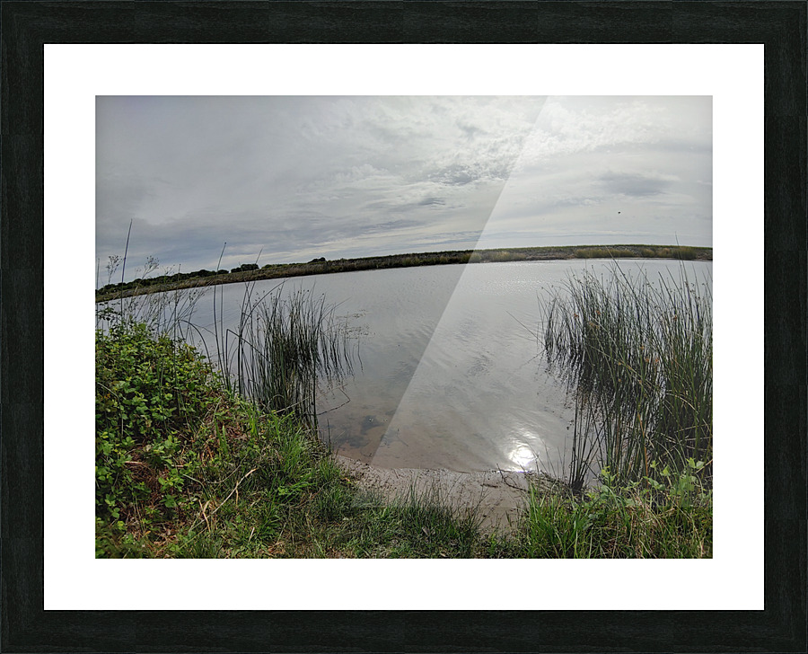 Reflections2 Picture Frame print