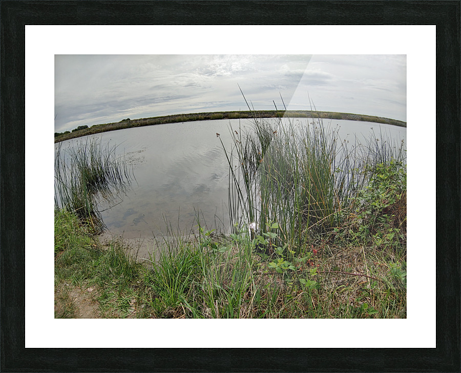 Reflections3 Picture Frame print
