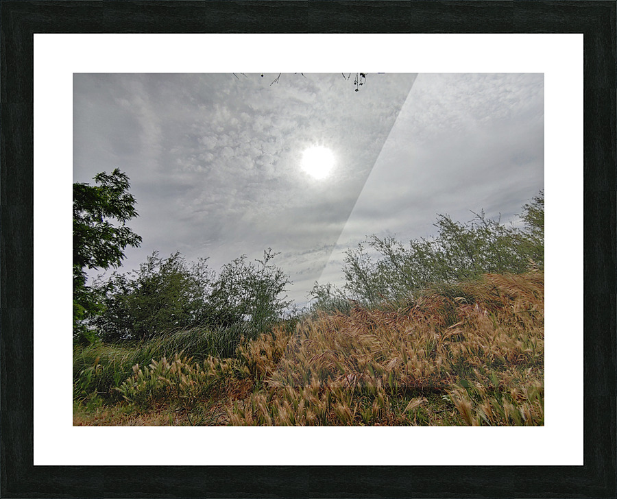 Island View2 Picture Frame print